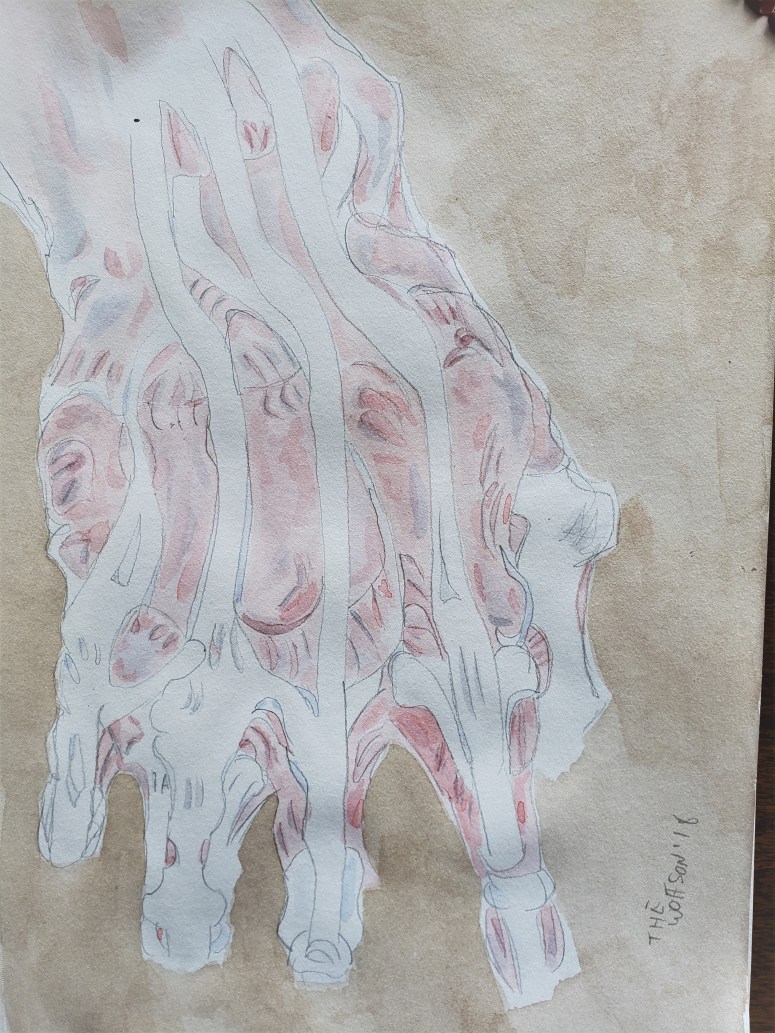 herbertwestsongsromance